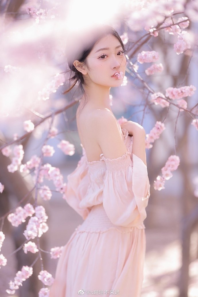完美风暴